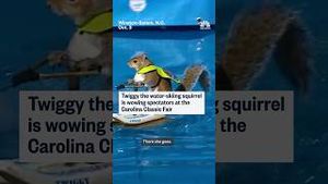 Video post by @nbcnews on YouTube