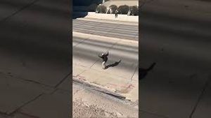 Video post by @sls on YouTube