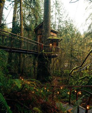Image post by @treehousepoint on Instagram