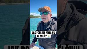 Video post by @jonasederfishing on YouTube