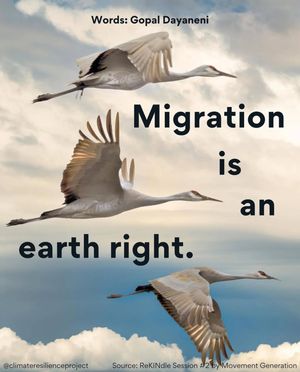 Image post by @green.anarchist on Instagram