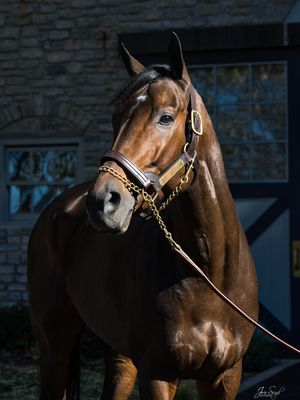 Image post by @coolmoreamerica on Instagram