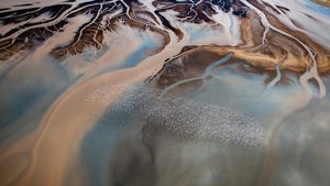 Image post by @discovery on Instagram