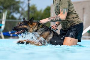 Image post by @usairforce on Instagram