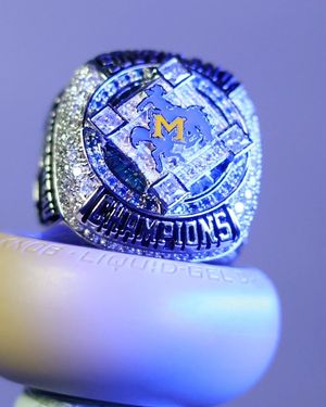 Image post by @msucowgirlsoftball on Instagram