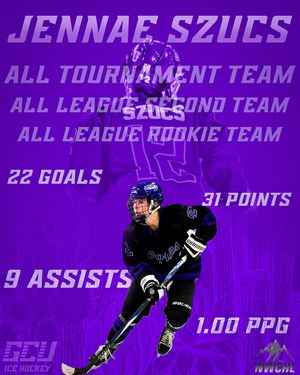 Image post by @lopeswhockey on Instagram