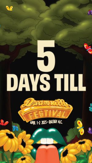 Image post by @Dreamvillefest on Twitter