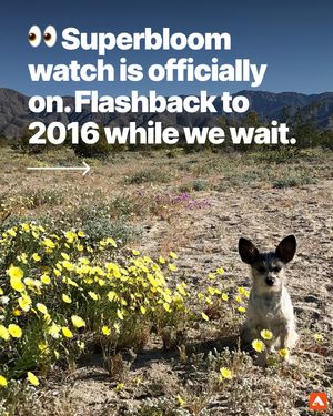 Image post by @hipcamp on Instagram