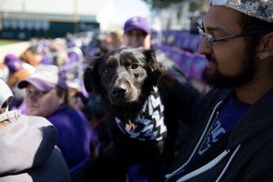 Image post by @kstate on Facebook