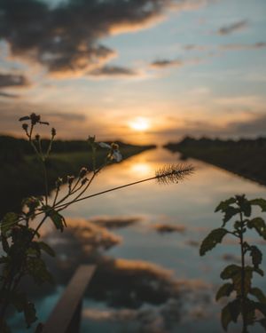 Image post by @soaringpixels on Instagram