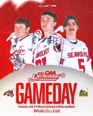 Image post by @stonybrookmlax on Instagram