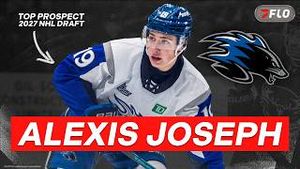 Video post by @flohockey on YouTube