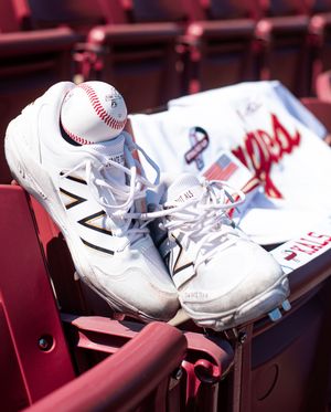 Image post by @bcbirdball on Instagram