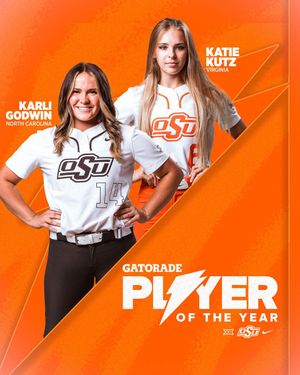 Image post by @cowgirlsb on Twitter