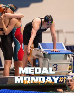 Image post by @vol_swimdive on Instagram