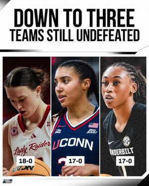 Video post by @marchmadnesswbb on TikTok