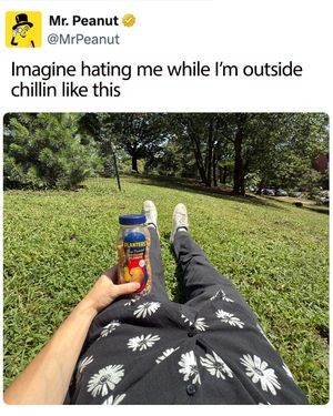 Video post by @mrpeanutoriginal on TikTok