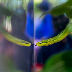 Image post by @calacademy on Instagram