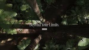 Video post by @lskdau on YouTube