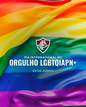 Image post by @fluminensefc on Instagram