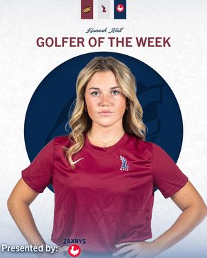 Image post by @leeuwgolf on Instagram