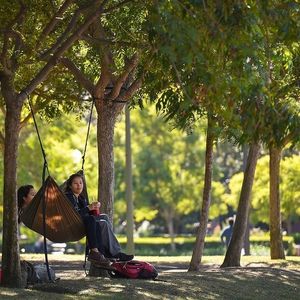 Image post by @uscdornsife on Instagram