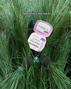 Image post by @falscara on Instagram