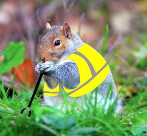 Image post by @mplsdtparks on Instagram