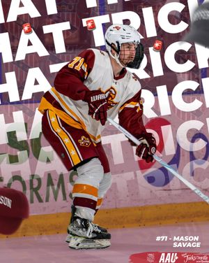 Image post by @aau_collegehockey on Instagram