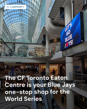 Image post by @curiocitytoronto on Instagram