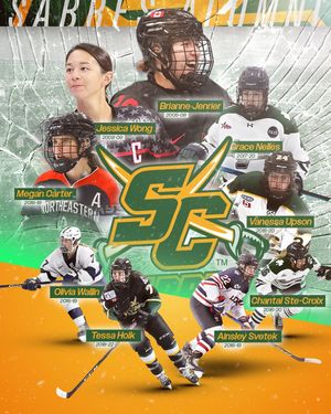 Image post by @stoneycreekgirlshockey on Instagram