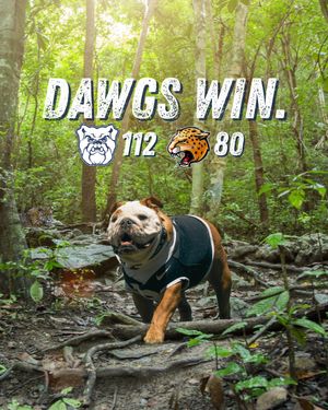 Image post by @thebutlerblue on Instagram