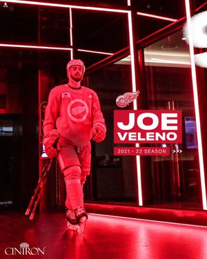 Image post by @detroitredwings on Instagram