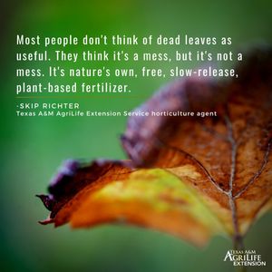 Image post by @txextension on Instagram