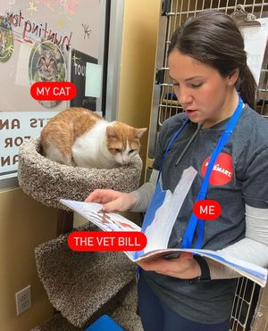 Image post by @petsmart on Instagram