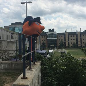 Image post by @theottoorange on Instagram