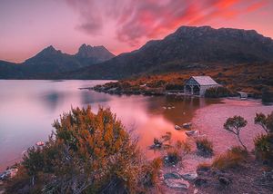 Image post by @zedco.studio on Instagram