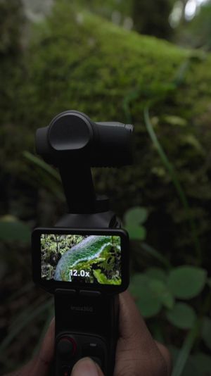 Video post by @insta360 on Instagram