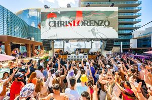 Image post by @marqueelv on Instagram
