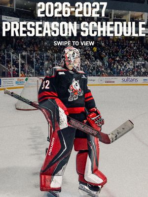 Image post by @ohlicedogs on Instagram