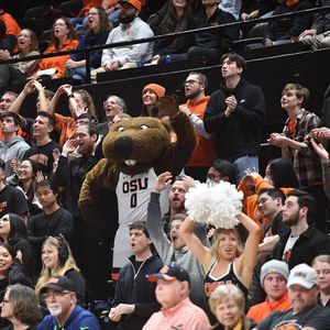 Image post by @beavermbb on Instagram
