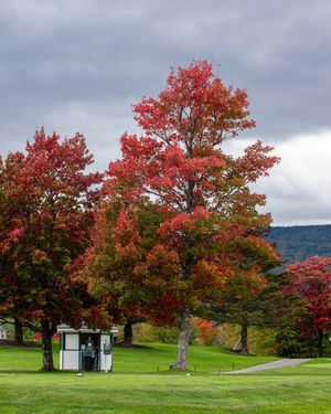 Image post by @mountsnow on Instagram