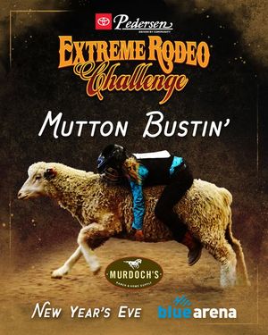 Image post by @BlueFCUArena on Facebook