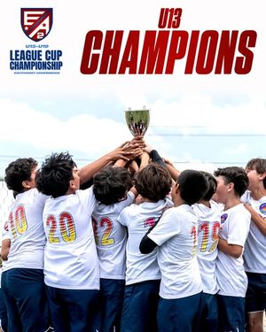 Image post by @eliteacademyleague on Instagram