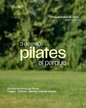 Image post by @pilatesproworkscol on Instagram