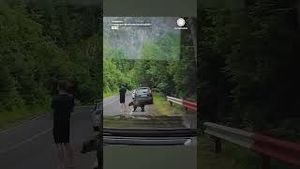 Video post by @accuweather on YouTube