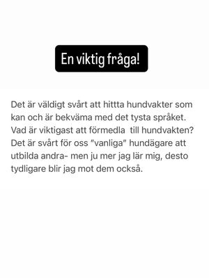 Image post by @det_goda_hundagarskapet on Instagram
