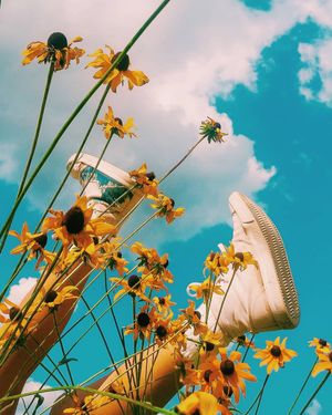 Image post by @jordanranease on Instagram