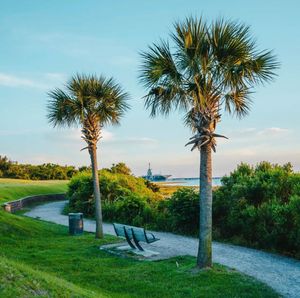 Image post by @southcarolina on Instagram