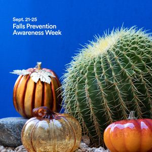 Image post by @dignityhealthaz on Instagram
